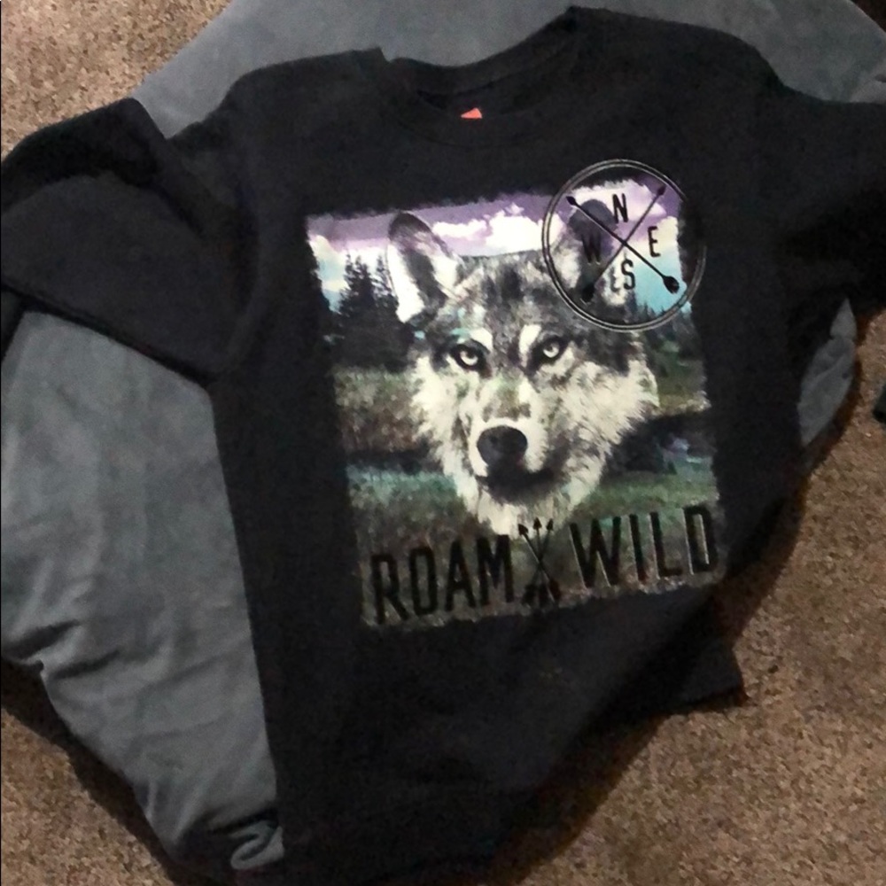 Hanes sweatshirt
